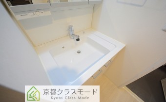 シャンプードレッサー
