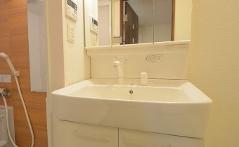 シャンプードレッサー