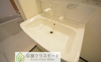 シャンプードレッサー