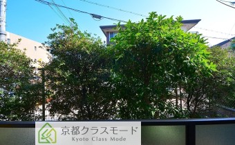 眺望・東向き