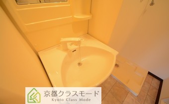 シャンプードレッサー