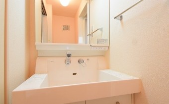 シャンプードレッサー