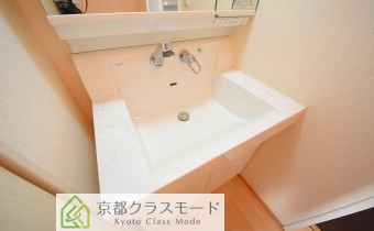 シャンプードレッサー