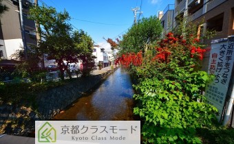 マンションの前には高瀬川があります♪