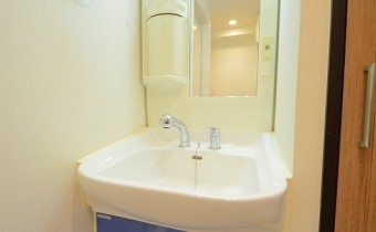 シャンプードレッサー　※同マンション内の別のお部屋のものです。参考としてご覧ください。