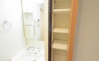 脱衣所の収納　※同マンション内の別のお部屋のものです。参考としてご覧ください。