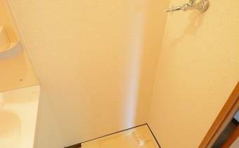 室内洗濯機置場