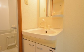 シャンプードレッサー