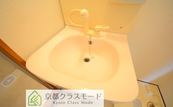 シャンプードレッサー