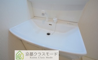 シャンプードレッサー
