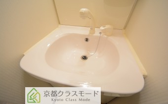 シャンプードレッサー