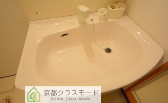 シャンプードレッサー