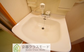 シャンプードレッサー