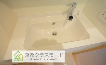 シャンプードレッサー