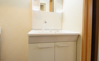 シャンプードレッサー