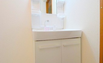 シャンプードレッサー