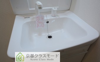 シャンプードレッサー