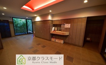 ホール