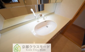 シャンプードレッサー