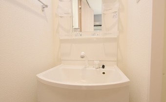シャンプードレッサー