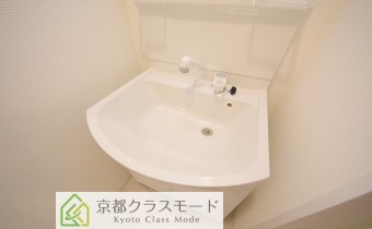 シャンプードレッサー