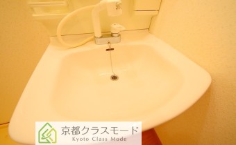 シャンプードレッサー