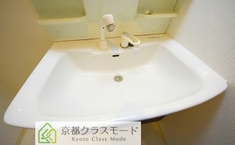 シャンプードレッサー
