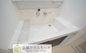 シャンプードレッサー