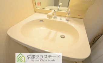 シャンプードレッサー
