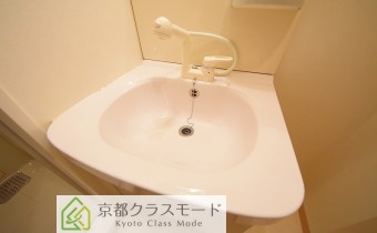 シャンプードレッサー