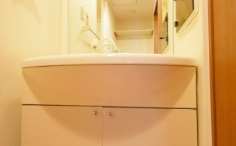 シャンプードレッサー　※同マンション内の別のお部屋のものです。参考としてご覧ください。