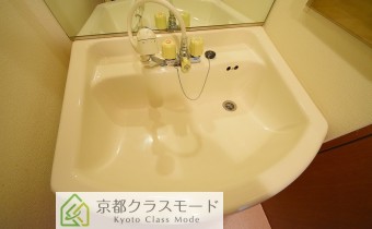 シャンプードレッサー　※同マンション内の別のお部屋のものです。参考としてご覧ください。