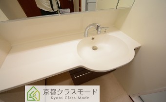 シャンプードレッサー