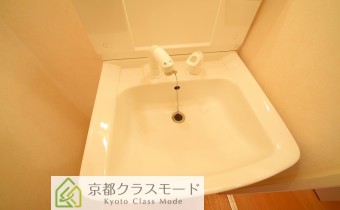 シャンプードレッサー