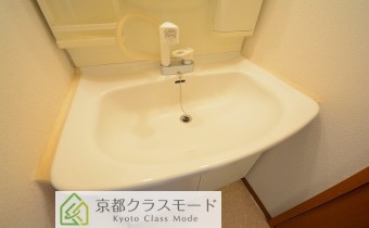 シャンプードレッサー