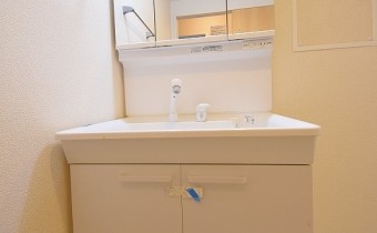 シャンプードレッサー