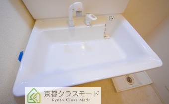 シャンプードレッサー