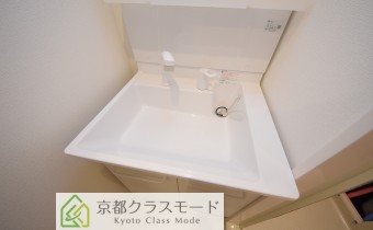シャンプードレッサー