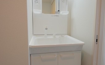 シャンプードレッサー