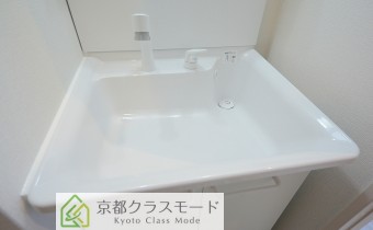 シャンプードレッサー