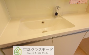 シャンプードレッサー