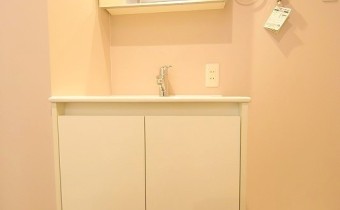 シャンプードレッサー