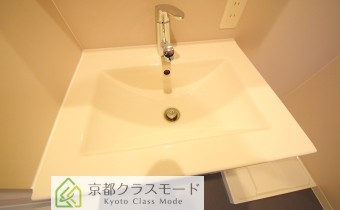 シャンプードレッサー