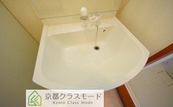 シャンプードレッサー