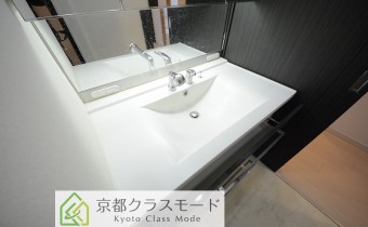 シャンプードレッサータイプ