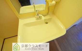 シャンプードレッサー