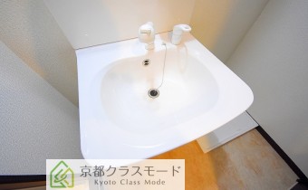 シャンプードレッサー