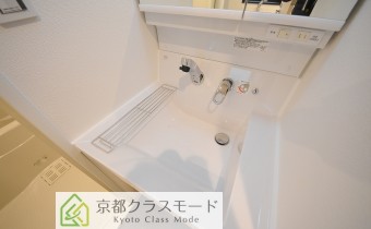 シャンプードレッサー