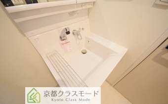 シャンプードレッサー