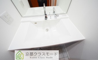 シャンプードレッサー